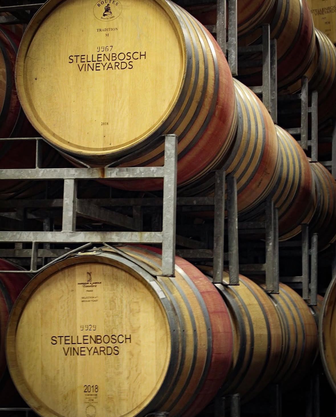 Stellenbosch Vineyards